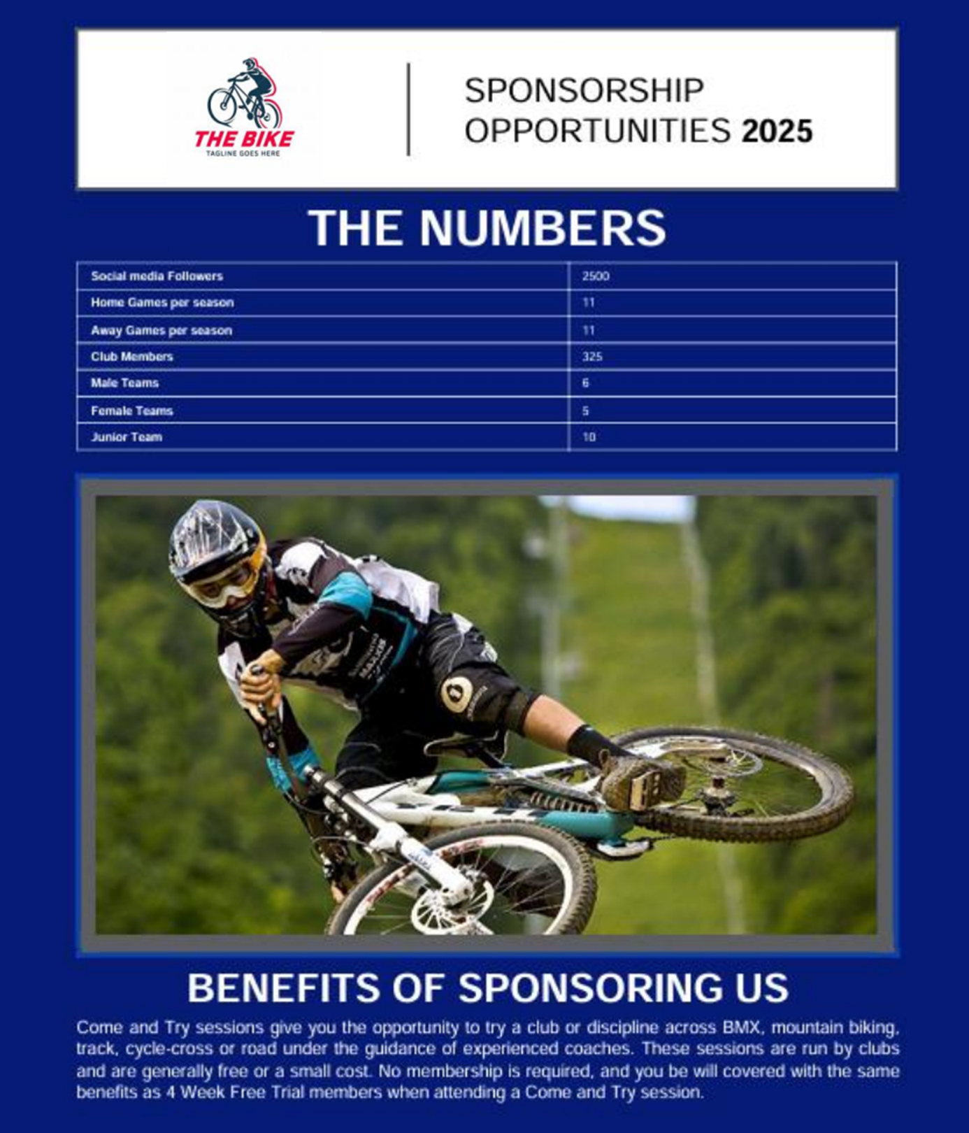 Sponsorship Opportunity